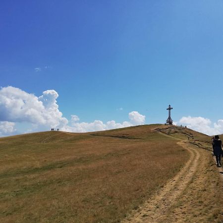 Villa Il Rifugio Di Vale Cetica Esterno foto