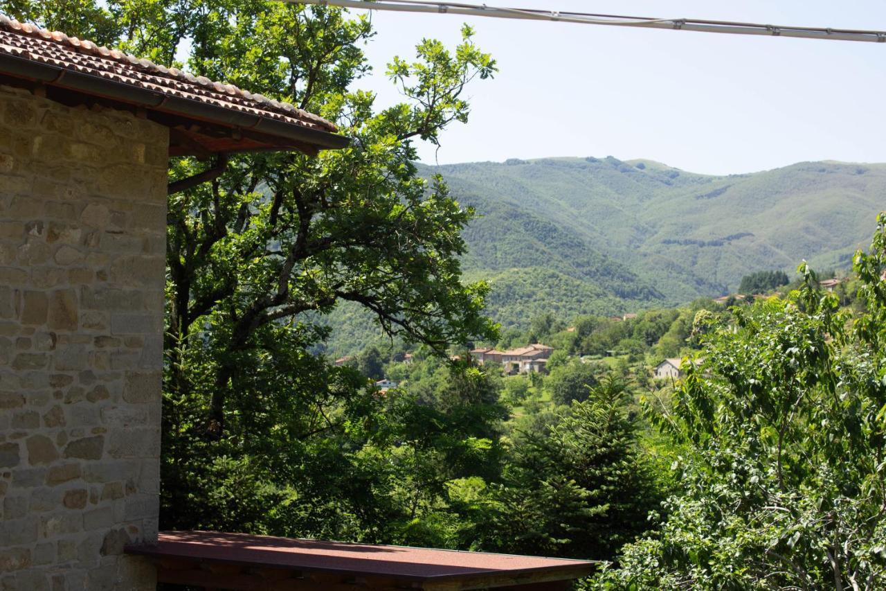 Villa Il Rifugio Di Vale Cetica Esterno foto
