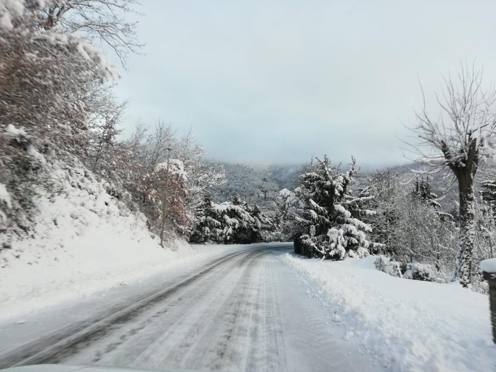 Villa Il Rifugio Di Vale Cetica Esterno foto
