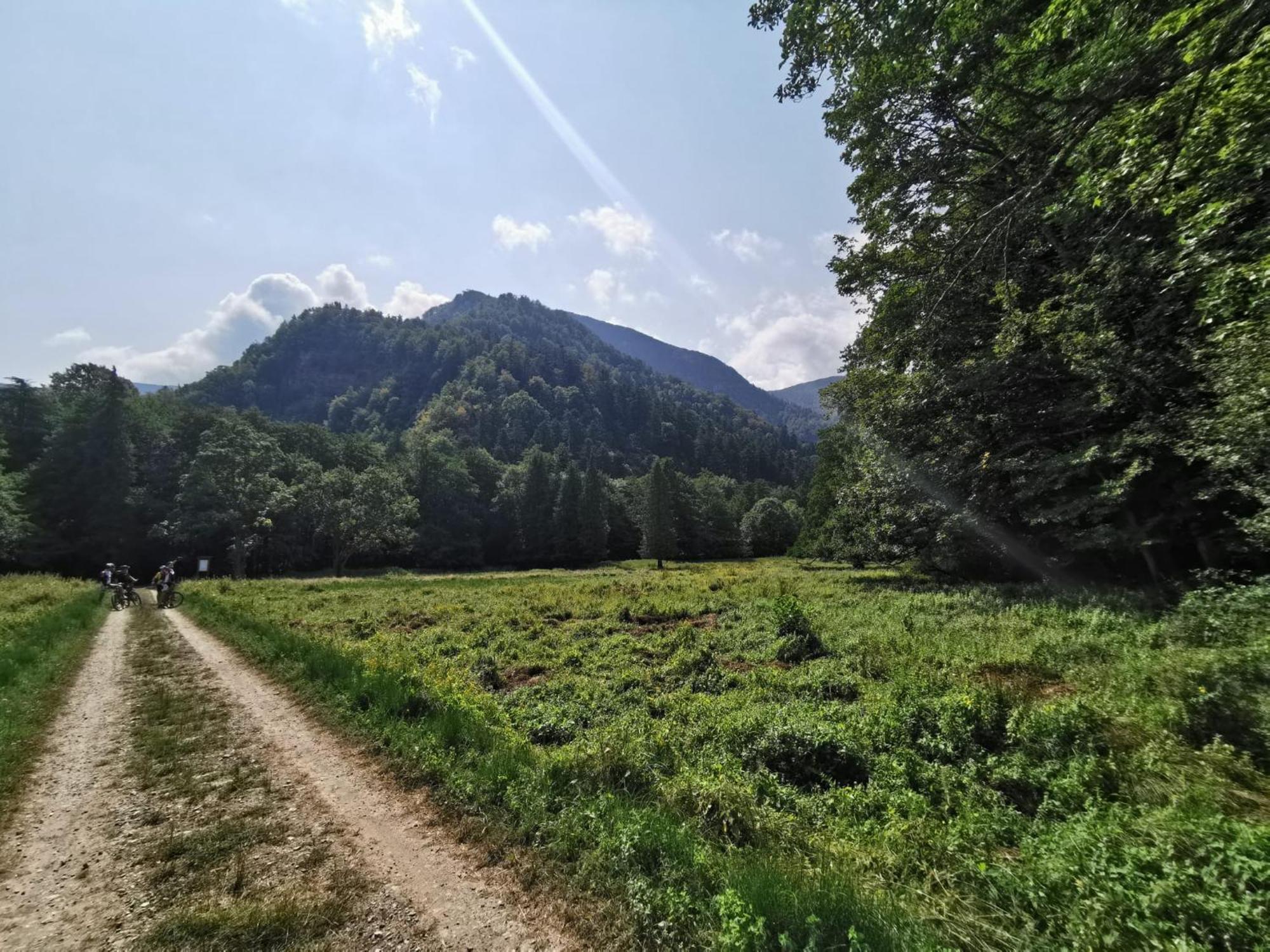 Villa Il Rifugio Di Vale Cetica Esterno foto